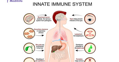 Innate Immunity