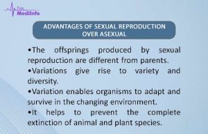 Sexual Reproduction